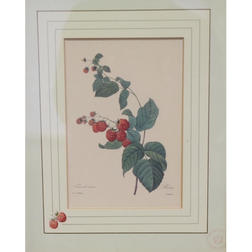 352 - A pair of Chinese school botanical prints, in bamboo frames, and six other prints, in silvered frame... 