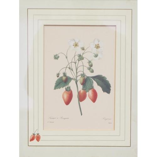 352 - A pair of Chinese school botanical prints, in bamboo frames, and six other prints, in silvered frame... 