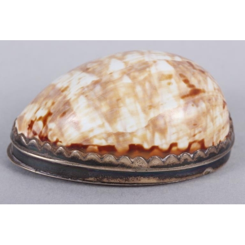 281 - A Georgian white metal mounted cowrie shell snuffbox, maker's mark stamped to lid