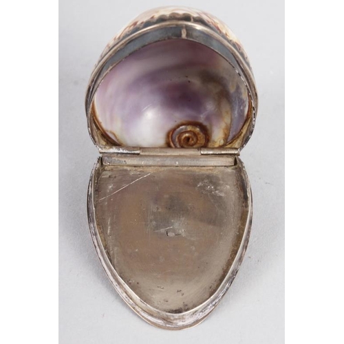 281 - A Georgian white metal mounted cowrie shell snuffbox, maker's mark stamped to lid