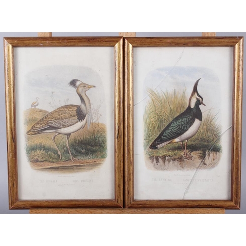 318 - Two 18th century hand-coloured prints, exotic birds, in strip frames, and four 19th century colour p... 