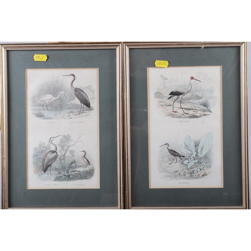 258 - A Cecil Aldin print of a terrier and four matching studies of birds, in gilt frames