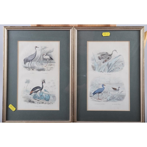 258 - A Cecil Aldin print of a terrier and four matching studies of birds, in gilt frames