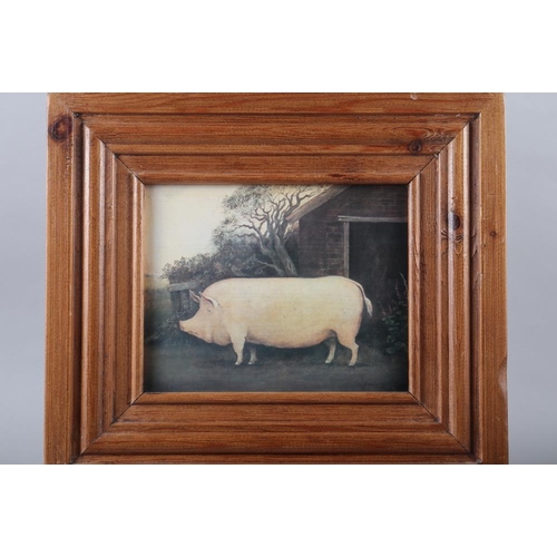 262 - A pair of Naive School prints, show cattle with owners and a similar pig, in moulded pine frames 15