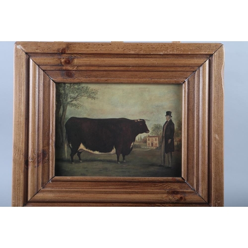 262 - A pair of Naive School prints, show cattle with owners and a similar pig, in moulded pine frames 15