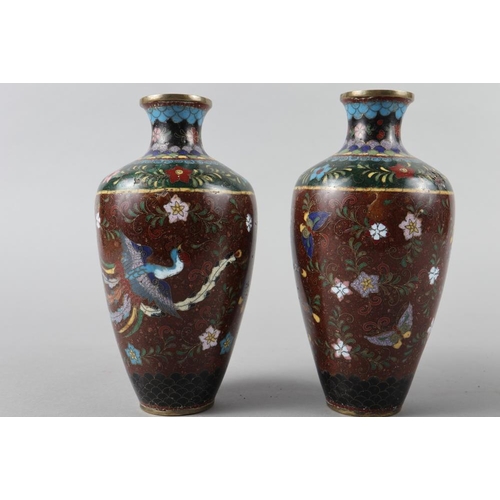 73 - A pair of cloisonne enamel vases with Phoenix and insects on an aventurine ground, 7