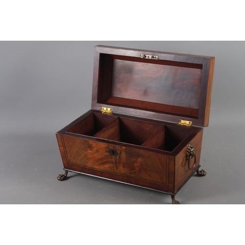 163 - A Georgian mahogany sarcophagus tea caddy with lion ring handles, on claw and ball supports, 13