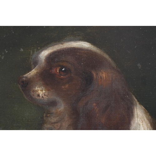 402 - An oil on board of a seated King Charles spaniel on a red cushion, 14 1/2