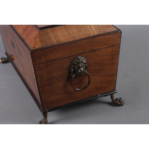 163 - A Georgian mahogany sarcophagus tea caddy with lion ring handles, on claw and ball supports, 13