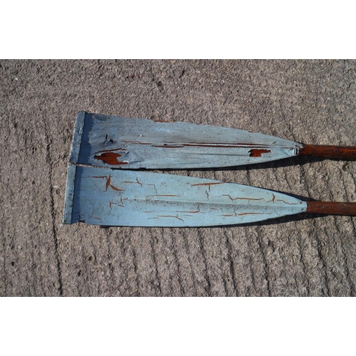 215 - A pair of early 20th century rowing blades, Cambridge blue, 109