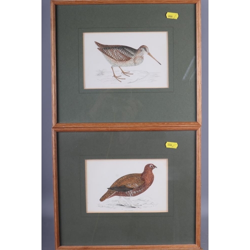 349 - Five late 20th century hand-coloured prints, studies of birds including a red legged partridge, a re... 