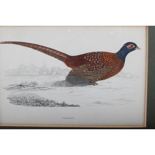 349 - Five late 20th century hand-coloured prints, studies of birds including a red legged partridge, a re... 