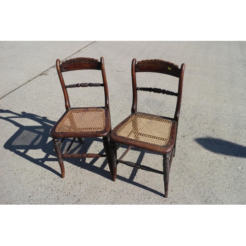 423 - A set of six polished as rosewood cane seat dining chairs with pierced bar backs (5+1) and two simil... 