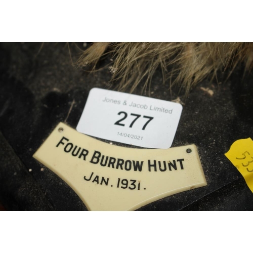 277 - Taxidermy: a fox head, on ebonised plaque, 