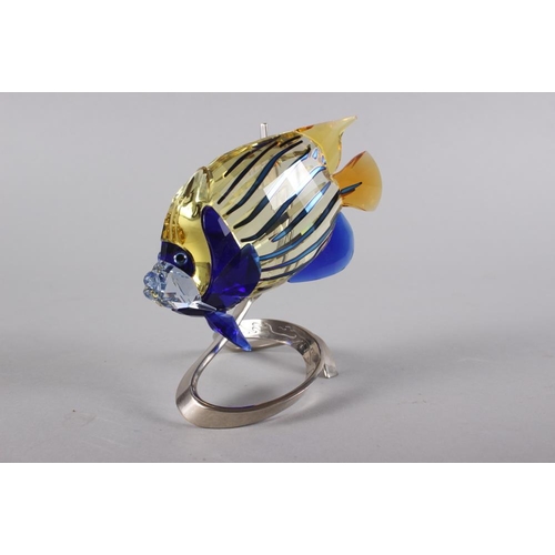 19 - A Swarovski model of an emperor angelfish with silver plated mount, 5