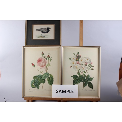 321 - Three 19th century hand-coloured bird prints and three Redoute prints, in gilt frames