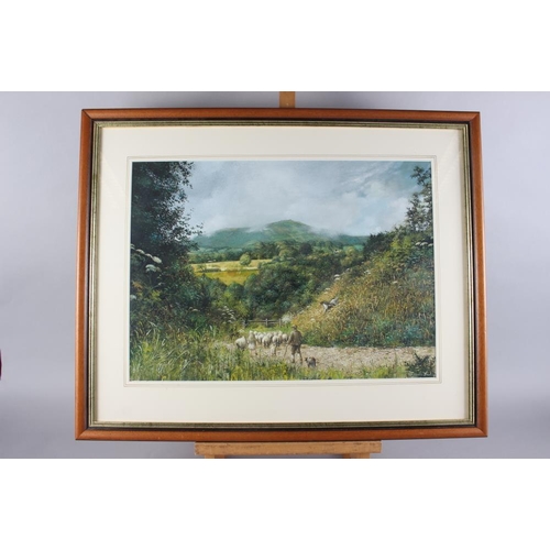 349 - Suzanne Francis: watercolours, landscape with shepherd and sheep, 14 1/2