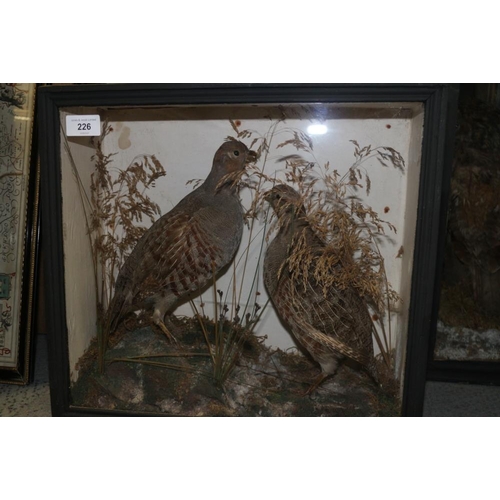 226 - A pair of partridge, 14 3/4