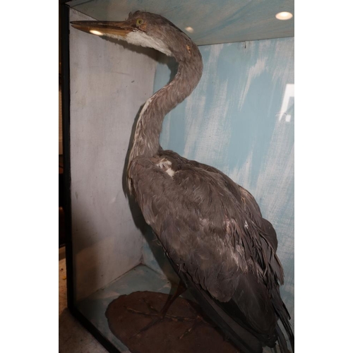 238 - A grey heron, 28