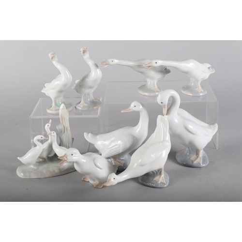 19 - Four Lladro geese, in various poses, 5