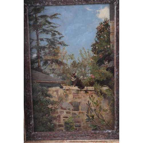 337 - M Huxbey: oil on panel, cat on a garden wall, 9 1/4