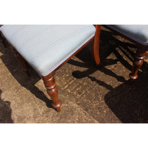 365 - A set of four mid 19th century mahogany balloon back standard dining chairs with stuffed over seats,... 