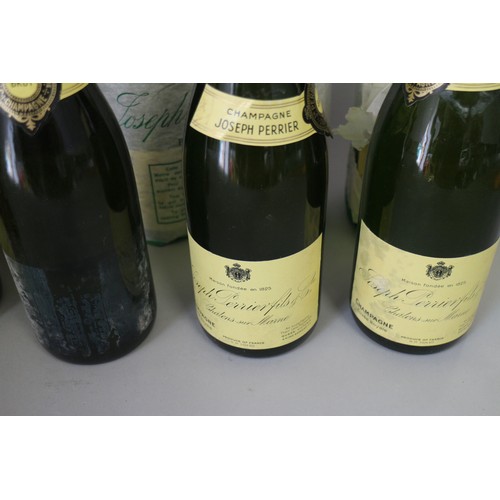 193 - Nine bottles of Joseph Perrier Brut Champagne, three bottles of Famous Grouse whisky, a bottle of 19... 