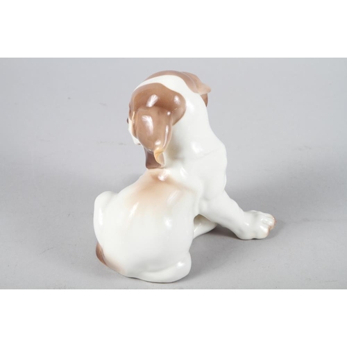 14 - A Nymphenburg porcelain seated puppy, 6