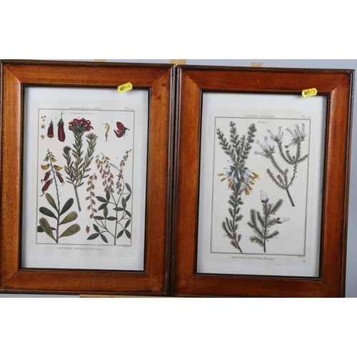 461 - A pair of hand-coloured botanical prints, a colour print after Picasso, a Thai temple rubbing and tw... 