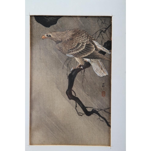 464 - An Ohara Kodaki Japanese woodblock print, white tailed eagle, 5 1/4