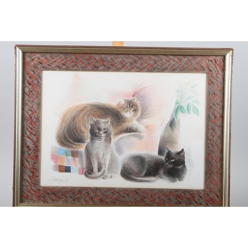 494 - A pastel study of three cats, 11