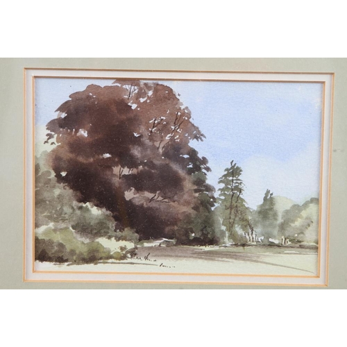 502 - Mary Wastie: watercolour sketch woodland scene, 4 1/4