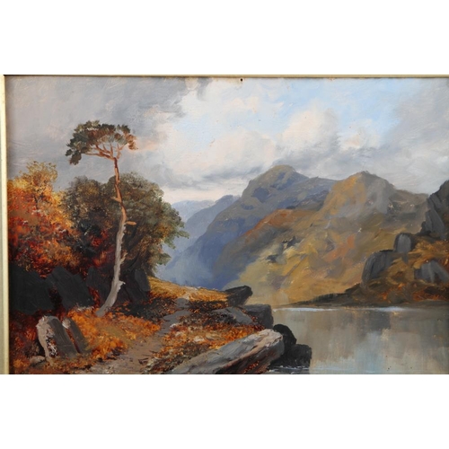 531 - A 20th century oil on canvas study of Irish mountains and lake, 10 1/2