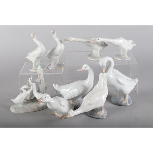 5 - Four Lladro geese, in various poses, 5