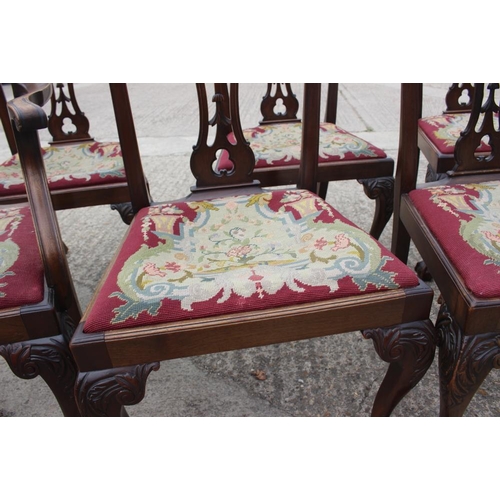 673 - A set of eight carved mahogany Chippendale design dining chairs with pierced splat backs and needlew... 