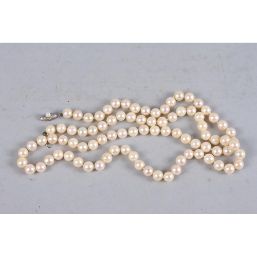 313 - A cultured pearl necklace with silver and pearl clasp, 32