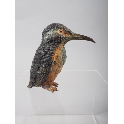 159 - An Austrian cast bronze cold painted model kingfisher, 2 1/2