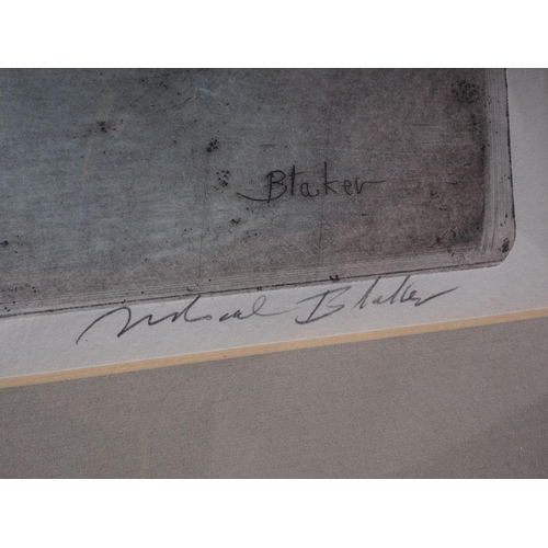 387 - Michael Blaker: a limited edition, etching with aquatint, 