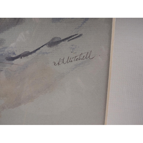 433 - A A Mitchell: watercolours and gouache, mallard duck, 9 1/2