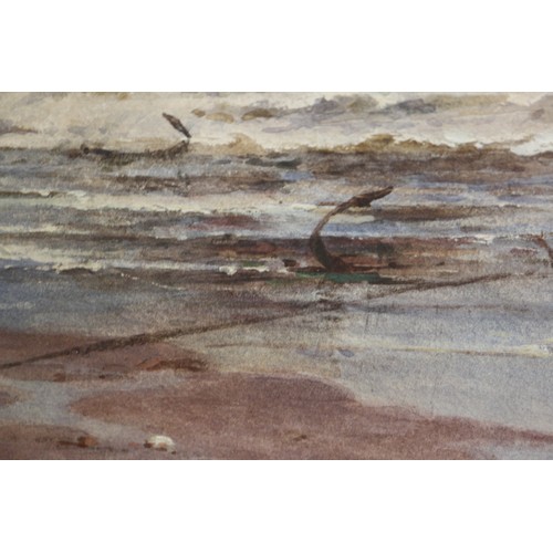 446 - Thomas Bush Hardy: watercolours, 