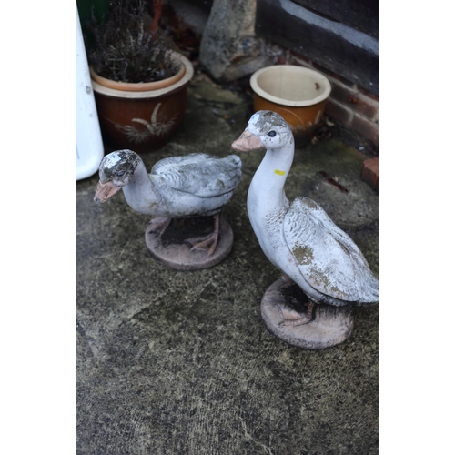 755 - Two cast stone models of geese, taller 22 1/2