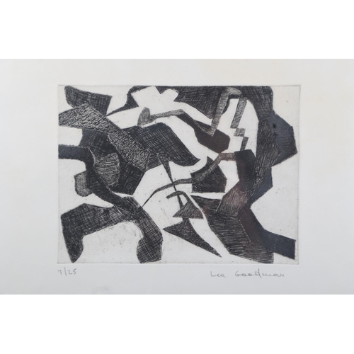 347 - Lea Goodman: a signed limited edition etching, abstract, 7/25, in silvered frame