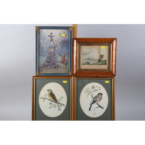 350 - Three 19th century hand-coloured botanical prints, in strip frames, a view of Park Place and a numbe... 