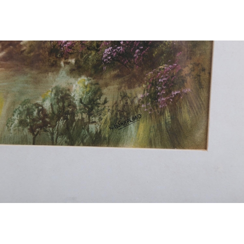 382 - W H Shapland: watercolours, moorland scene, 6 1/2