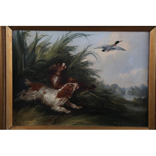 408 - A late 19th century oil on canvas, spaniels and duck, 9 1/2