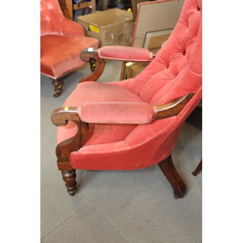 520 - A 19th century rosewood framed scroll arm chair, upholstered in a pink velour, on turned and castore... 