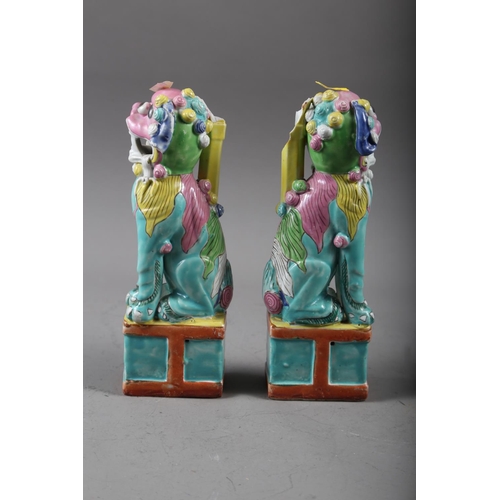 87 - A pair of Chinese polychrome decorated Dogs of Fo, on square bases, 9