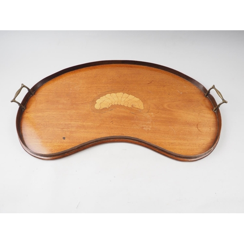 211 - An Edwardian walnut shaped two-handled tray, 26