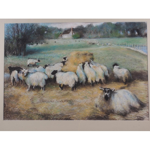 507 - Christine Hall: pastels, sheep in a landscape, 14