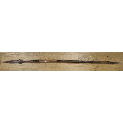 241 - A Pacific Islands palm wood long bow, 73